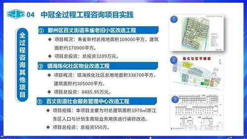中冠咨詢 以信息咨詢服務(wù)為先導(dǎo)的全過程工程咨詢解決方案